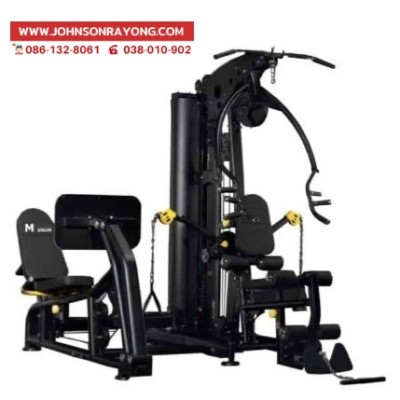 Two Station Strength GYM